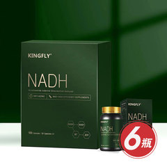 KINGFLY NADH 胶囊