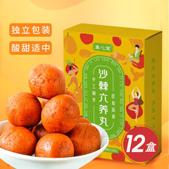集心堂沙棘六养丸