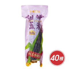 有机大个黑玉米VIP家庭组